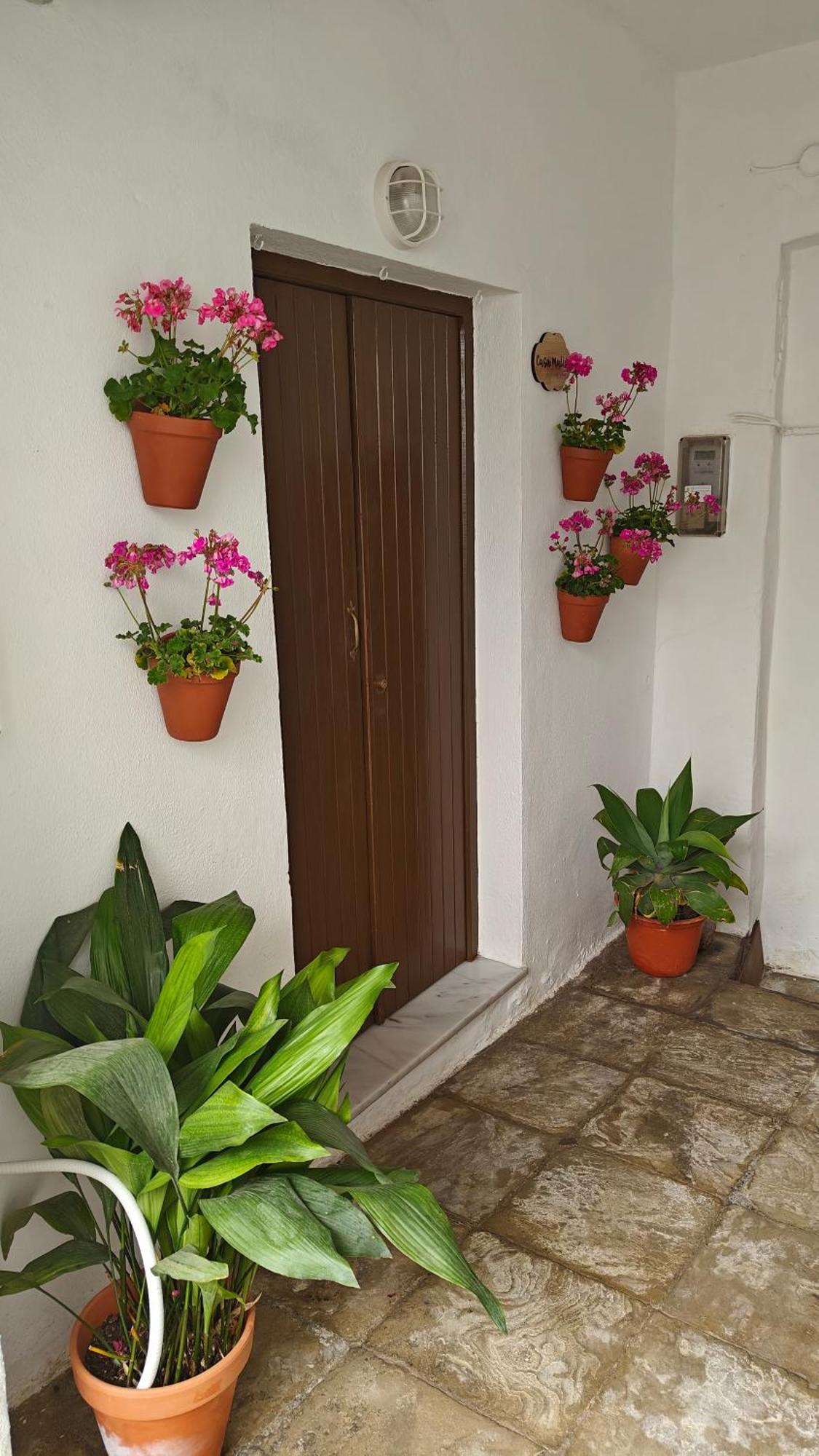 Casa Malia Apartamento Recien Reformado En Centro Vejer de la Frontera Luaran gambar